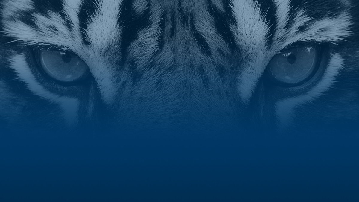 NCSS_Cyber's tweet image. Asigra will be exhibiting at the National Cybersecurity Show. Stop by stand 4/J1 to meet the @Asigra team and learn why Tigris is the most secure enterprise backup solution.

#NCSS2023   #cybersecurity  #securebackups