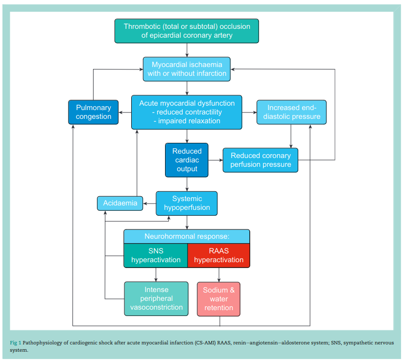 CritCareReviews's tweet photo. Management of cardiogenic shock after acute coronary syndromes

CCR Journal Watch
https://t.co/Sp06oA6IDG https://t.co/YD3ZE4NHxZ