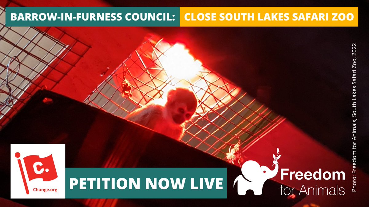 For too long, South Lakes Zoo has swept animal neglect and suffering under the carpet. It's time for the council to close this zoo 🚫

Help animals by signing the below petition today! ✒️🐯

#SouthLakesZoo #BarrowInFurness #Zoos #EndCruelty chng.it/km5ncj5qWG?utm…