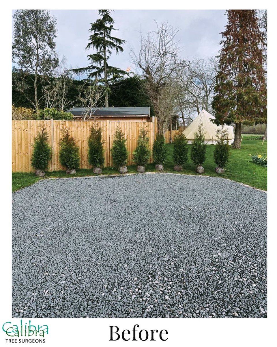 🍃We recently planted this beautiful Thuja Plicata (Conifer) hedge for a happy customer in Warfield, Berkshire. 

🍃Not only does it add privacy to their garden, but it also adds a pop of greenery that will flourish for years to come. 

#treesurgeon #berkshire