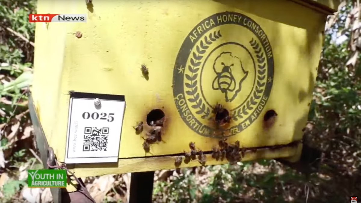 Learn about the benefits of beekeeping: youtu.be/5jK99pD8BWI

Website thesourceplus.org
Website africahoneyconsortium.org
Email: info@thesourceplus.org
Email: info@africahoneyconsortium.org