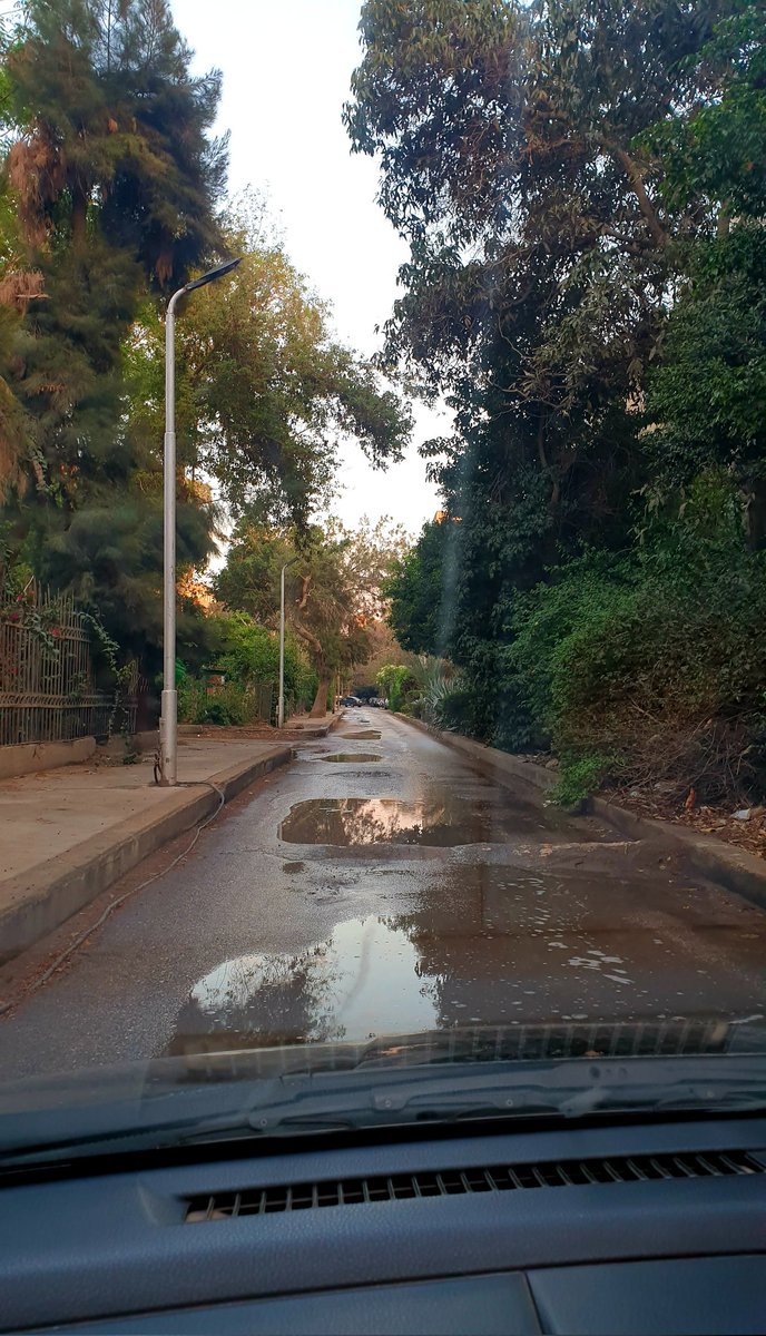 ZaidAAlia's tweet image. يامدينة فيكى ماشى
قلبى قمراية بشواشى
#rainyday #streetphoto #randomshot #love #feel #maadi