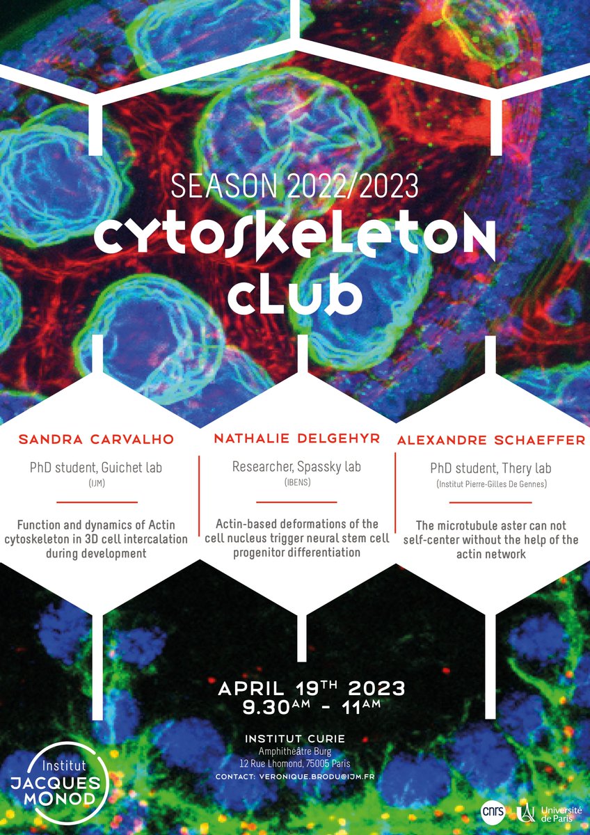 Institut Jacques Monod (@ijmonod) on Twitter photo #SaveTheDate
The next Cytoskeleton Club Meeting will be on Wednesday 19th of April at 9.30am at the <a href="/institut_curie/">Institut Curie</a> (Amphithéâtre C.Burg)
➡️Sandra Carvalho (<a href="/GuichetLab/">Guichet Lab</a>), Nathalie Delgehyr (@nathspassky Lab) & Alexandre Schaeffer (<a href="/ManuelTHERY/">THERY Manuel</a> Lab)
ijm.fr/cytoskeleton-c… #SaveTheDate
The next Cytoskeleton Club Meeting will be on Wednesday 19th of April at 9.30am at the <a href="/institut_curie/">Institut Curie</a> (Amphithéâtre C.Burg)
➡️Sandra Carvalho (<a href="/GuichetLab/">Guichet Lab</a>), Nathalie Delgehyr (@nathspassky Lab) & Alexandre Schaeffer (<a href="/ManuelTHERY/">THERY Manuel</a> Lab)
ijm.fr/cytoskeleton-c…