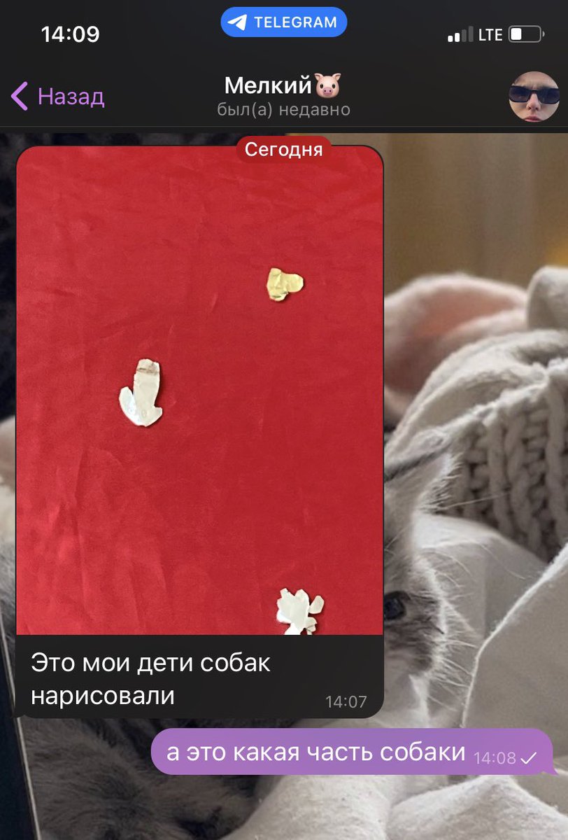 gorbtsss's tweet photo. мой брат сейчас работает вожатым в лагере, присылает мне это
кажется у детей закончилась фантазия https://t.co/6W0CTIxXX0