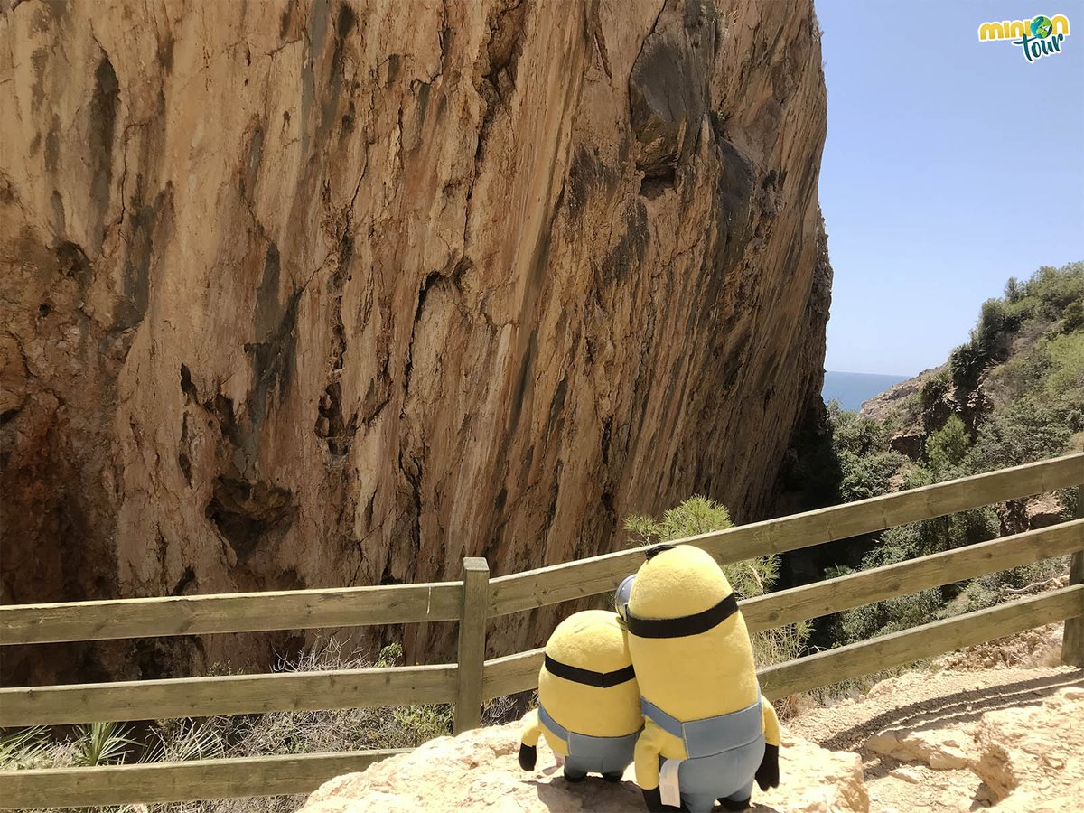 MiniOnTourES's tweet photo. La falla del #Moraig está catalogada como lugar de Interés Geológico 🔝, y en julio de 2022 la Generalitat la ha declarado Monumento Natural 🤩. Está al ladito de la Cala del Moraig 🏖️.
👉 https://t.co/0EFKpEQ4Cp
@costablancaorg @CValencianaTB @ajBenitatxell @LaMarinaPlaza1 https://t.co/5ndRLIz7oo
