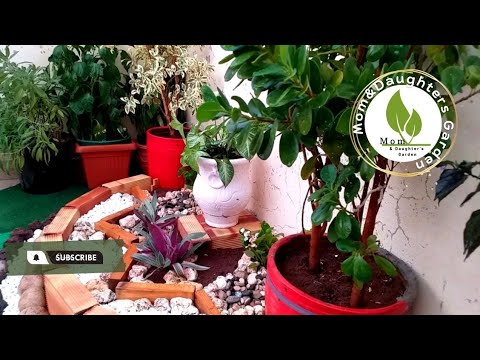 AllForGardening's tweet image. Elegant garden with red pots  |  ...
 
#Backyards #BalconyMakeover #CheapGarden #CornerIdeas #CreativeGarden
 
allforgardening.com/441026/elegant…