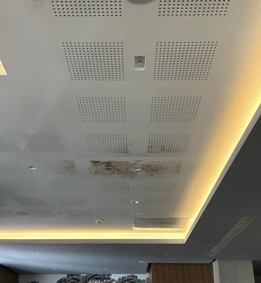 jeanne_plume's tweet photo. @NemeaVacances  Logement insalubre, pas entretenu, moisissures, sol dans un état désastreux, hall d’entrée dans un état catastrophique, aucun geste commercial de la part de l’hôtel. FUYEZ les hôtels NEMEA et surtout celui de Cannes Palais. Partagez un maximum, merci ! https://t.co/S0yQQ6F1Pj
