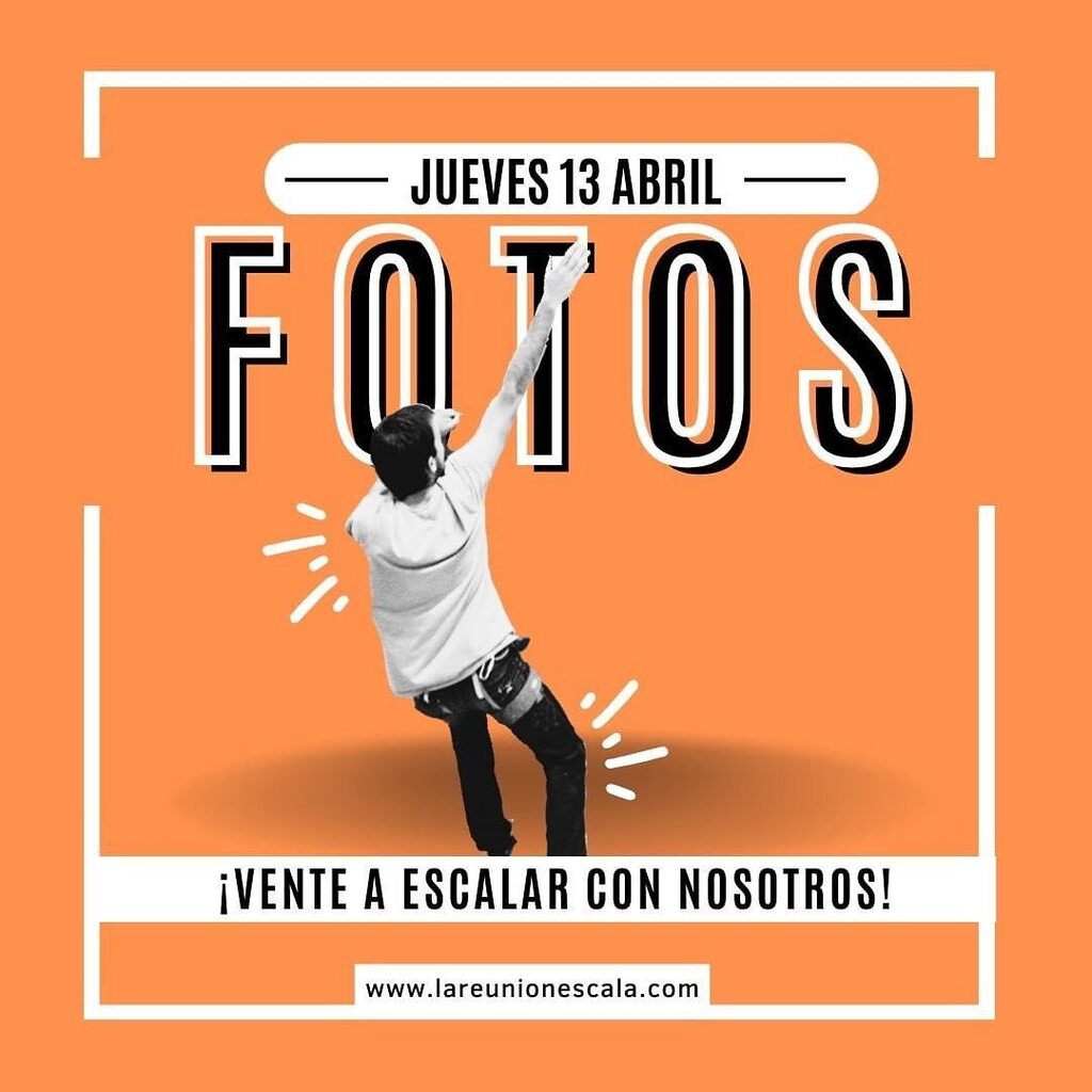 Media Siesta tweet media