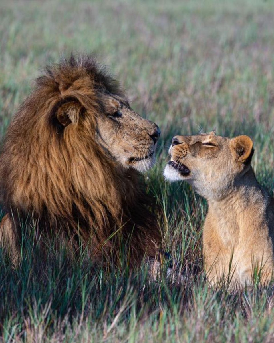 Red Carnation Hotels tweet media