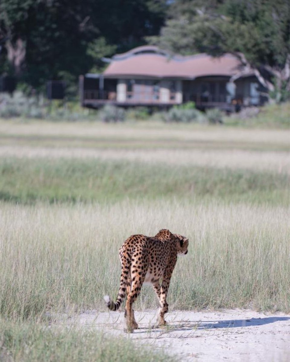 Red Carnation Hotels tweet media