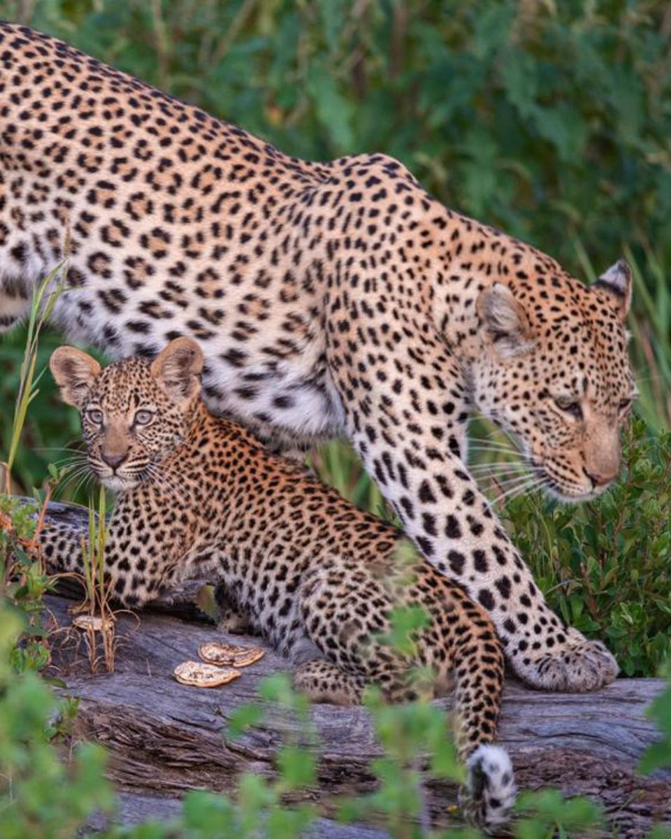 Red Carnation Hotels tweet media