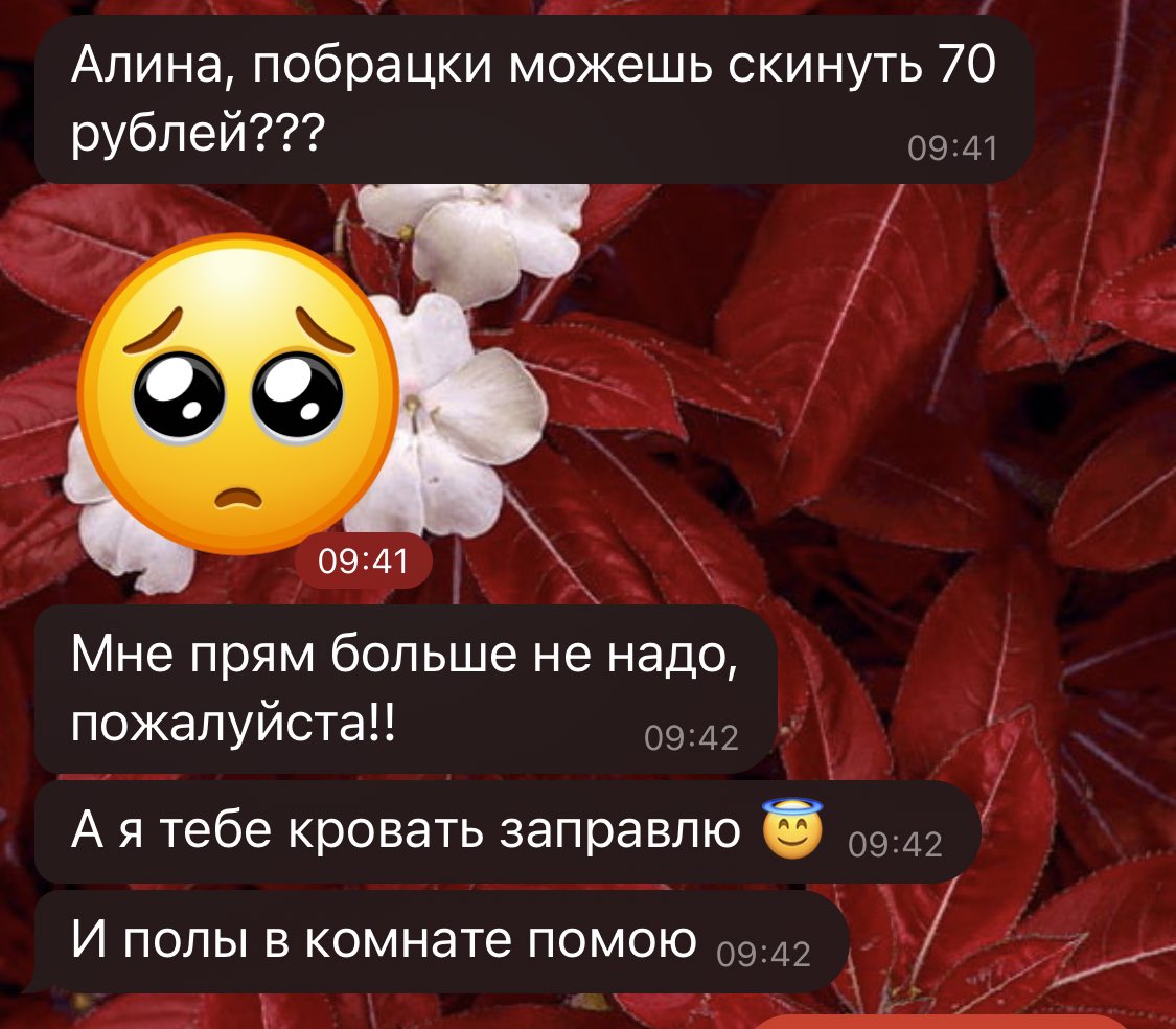 DEERFROSHA's tweet photo. Итак, клиринг моей комнаты стоил мне 70 рублей
Мне кажется, это стоящая сделка https://t.co/sVllWLrClC