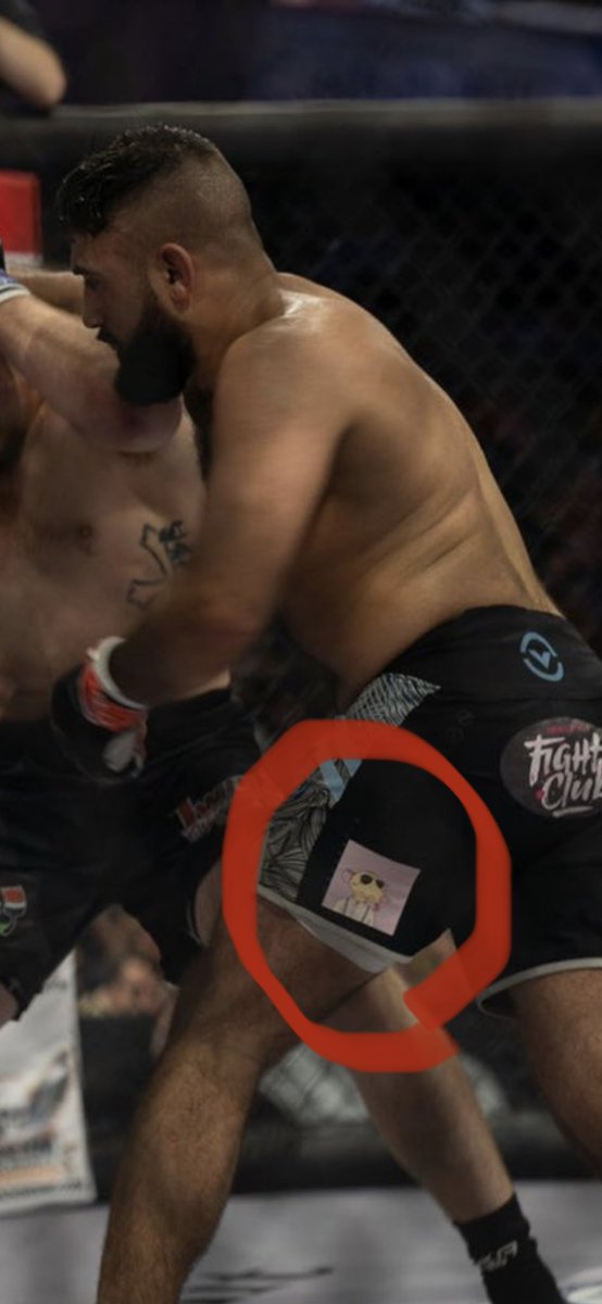 🧀Kalyssia💎🐀 tweet media