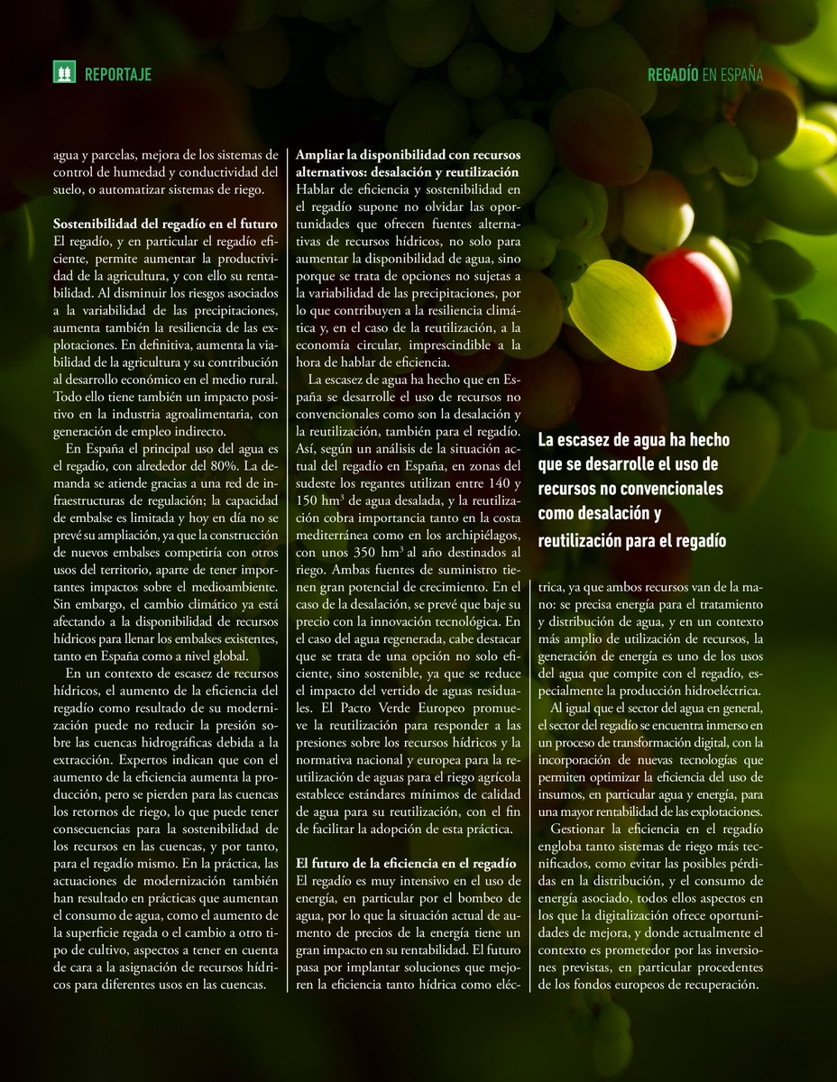 iAgua's tweet image. 💧 El #regadío es un sector estratégico en #España que garantiza la producción agrícola en un clima irregular en cuanto a precipitaciones, además de ser motor del desarrollo rural.

📑 Un reportaje de @cristina_novop publicado en #iAguaMagazine43.
iagua.es/noticias/redac…