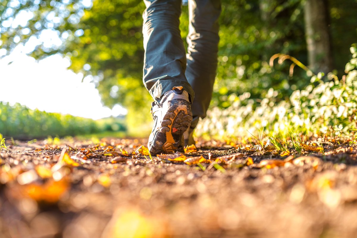 Why is #walking so important🚶? As the least polluting form of travel, walking is excellent for the environment. Sign up to access our FREE online #activetravel resources travelknowhowscotland.co.uk/pages/view/why…