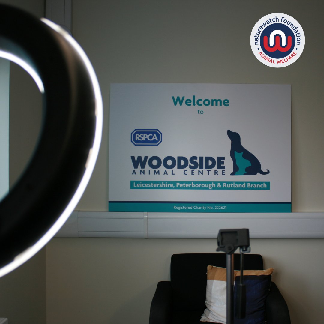 Naturewatch_org's tweet photo. This #NationalPetMonth, we're taking a stand against #GreedBreeding. Our recent visit to @Woodside_AC shed light on the impact of breeding purely for profit.
Check out our latest blog post to learn more and join our campaign to #StopGreedBreeding 👉 https://t.co/lrT0vdekxt https://t.co/S8IWmS5VHD