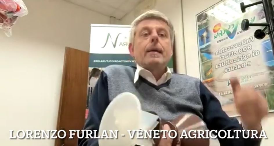 Veneto Agricoltura tweet media