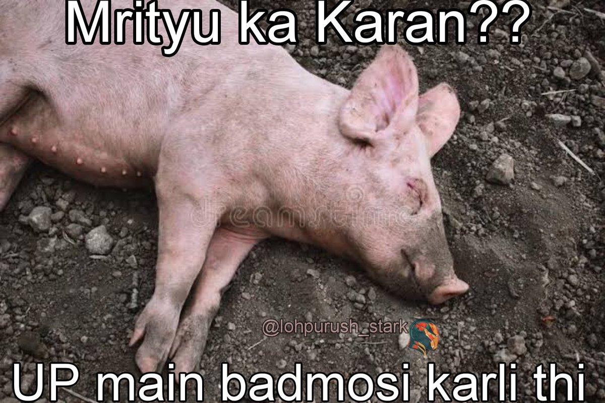 AmitRajput_in's tweet photo. भगा भगा के मारा है, कब्र तुम्हारी खोदी है !!
यूपी की गद्दी पर बैठा, बाप तुम्हारा योगी है !!

#Encounter #asadahmed

#Encounter https://t.co/tfXx1AU45O