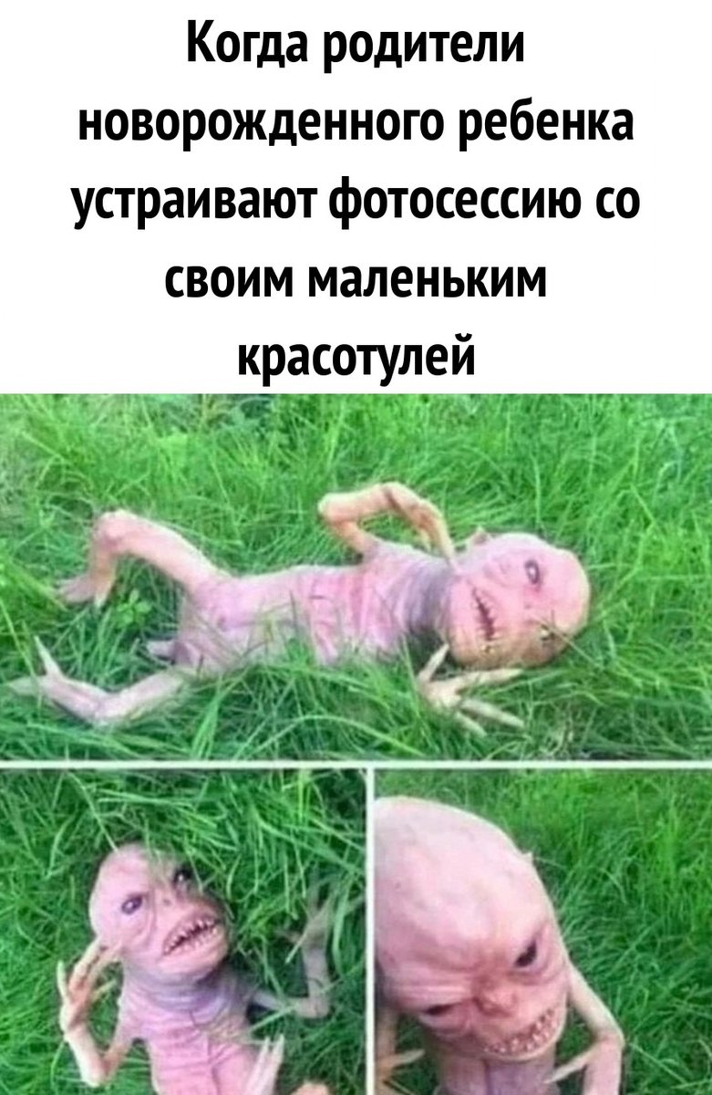Отборный юмор (@otbornyi_umor) on Twitter photo 