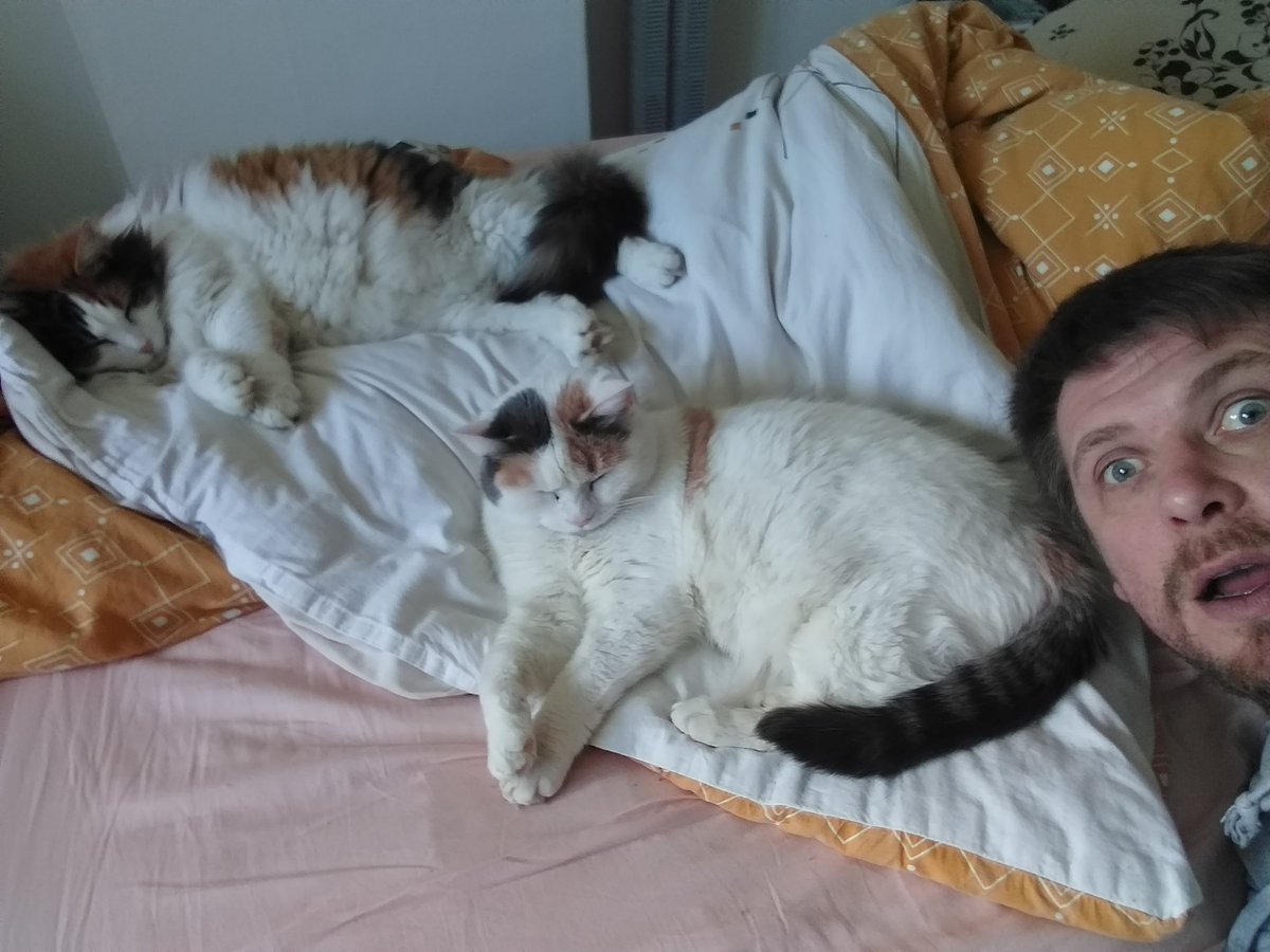 Mr_Bill_Oute's tweet photo. Merci d'être passé ce matin! C'était vraiment cool! Les chats sont épuisés 😂
#mtgcommunity #cat #frenchstreamer #catstreamer #stream #CatsOfTwitter https://t.co/eGn5RYoGGG