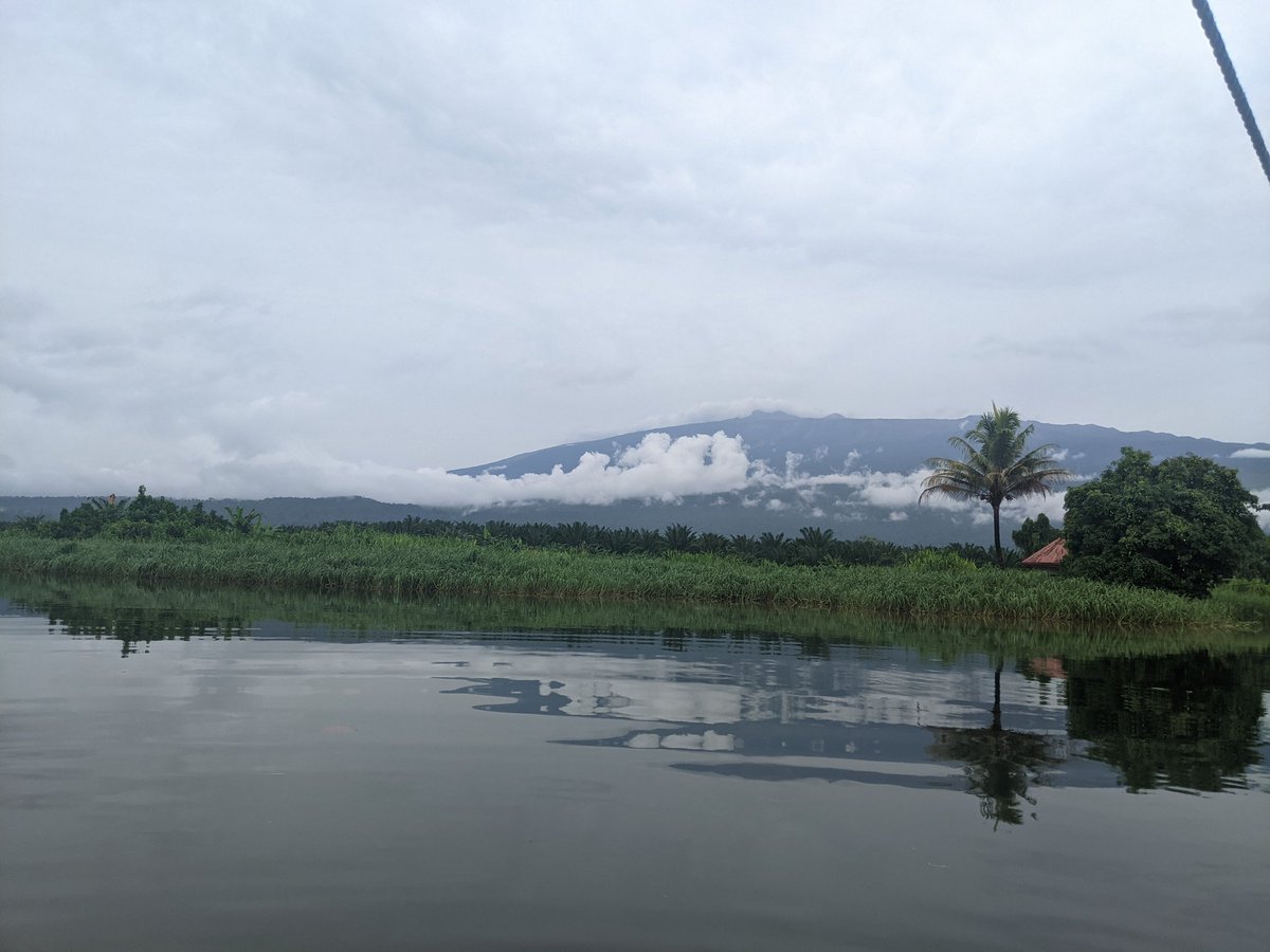Forbahsandra's tweet photo. #NatureLovers #nature #MtCameroon 
#bliss #photography https://t.co/cWSy7dgofu