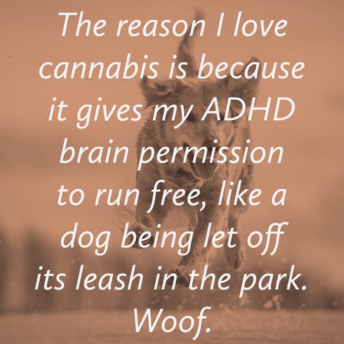 True story. https://t.co/oTs7cEjkPz<a href="/tag/highthoughts"class="tags"><span>#highthoughts</span></a>
