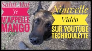 ericV5757's tweet photo. Bien le bonjour #nouvelle #video sur #YouTube sur #TechRoulette #cabanelife
Bonne journée à Tous
Le #lien ici 🔻🔻

https://t.co/ARRMU37Jh7

#youtube #chaineyoutube #youtubeur  #vanlife #profitedetaliberte #smartphone #voyage #paysage #nature #photo #video  #huaweip30pro https://t.co/gLUw54y0av