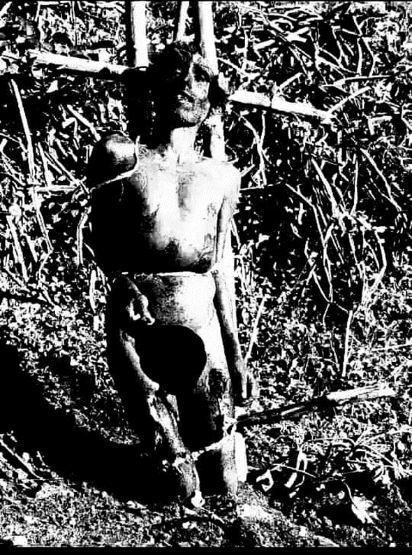 EsheteGemeda's tweet photo. The picture below shows the heinous crime committed by the Amhara Terrorist Forces against "Ammee Aliyyee Abdallaa" in Wollo (Jillee Dhumuggaa), on  10 April 2023. They "MUTILATED" his organ and hanged him on a tree. The PP figure-headed authorities kept silent as usual. https://t.co/HzKI3mlciG