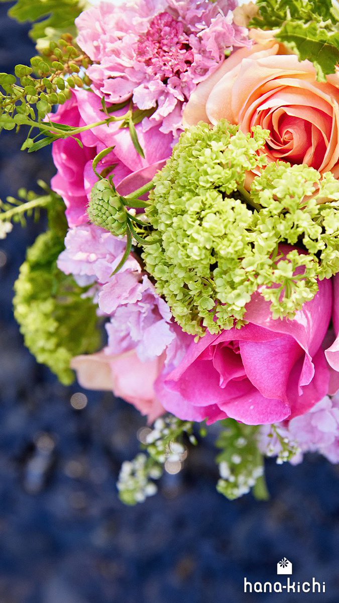 バラと過ごす春を過ごしませんか？
通年出回っているバラですが、旬は春と秋！花好きさんには、春バラ、秋バラと呼ばれ親しまれています💐
ゆっくりと開花の表情をみせるバラを、じっくり楽しむのもオススメです✨
yoyaku.hana-kichi.jp/visitor/reserv…