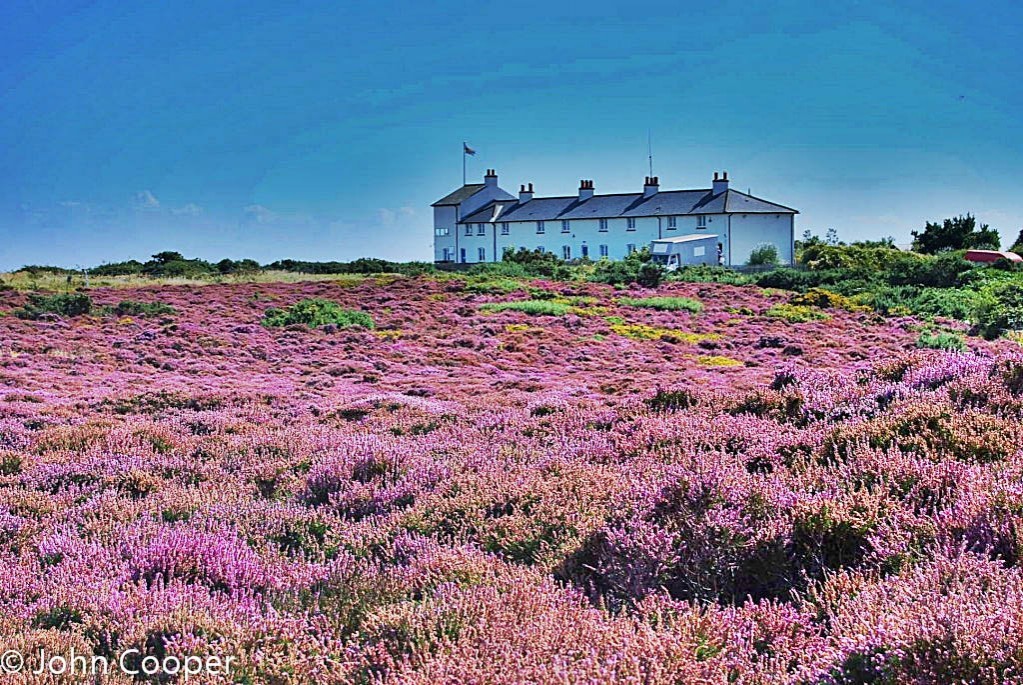 TheSuffolkMan's tweet image. A #Postcard from #Suffolk #RiverBrett, #HelminghamHall, #AltonReservoir &amp;amp; #DunwichHeath