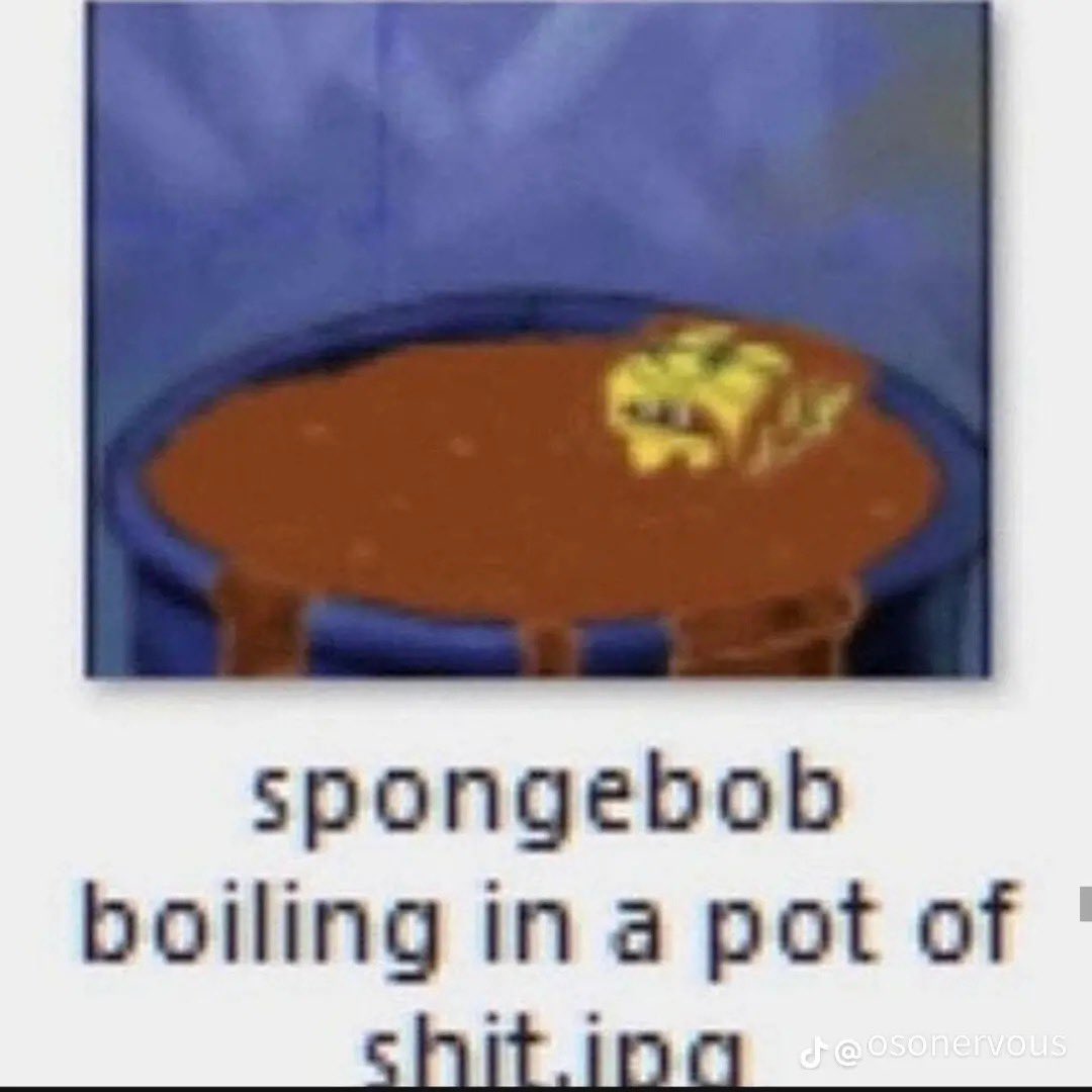 bopped tweet media