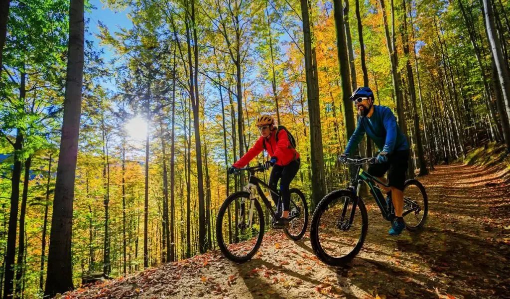 PilotBike_'s tweet photo. Biking can help improve brain function and cognitive performance. 🚴‍♀️🧠💭 #BrainPower #BikeForMentalHealth #HealthyHabits https://t.co/bmILhl0Ufs