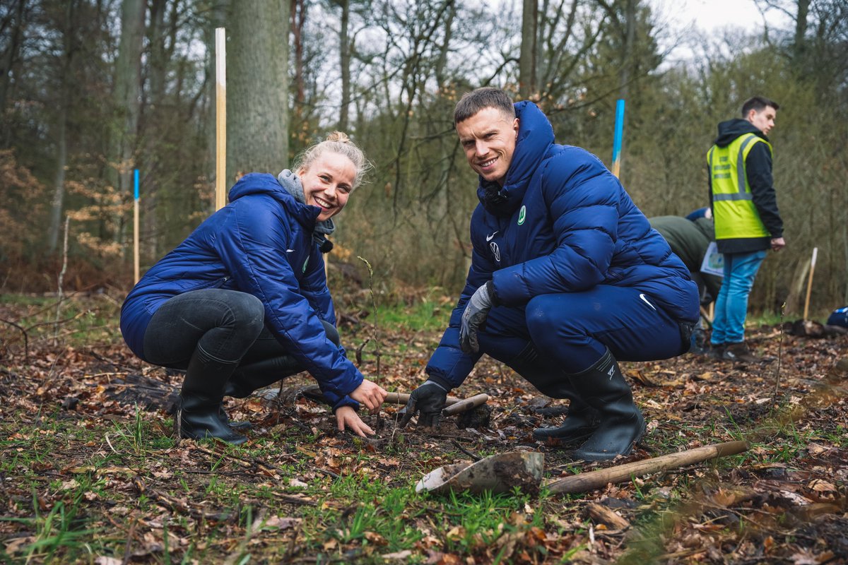 VfL Wolfsburg tweet media