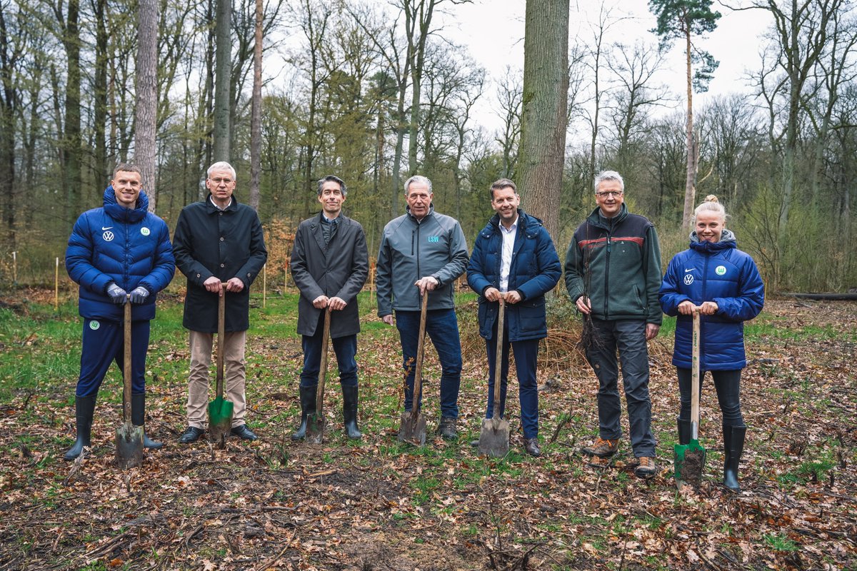 VfL Wolfsburg tweet media