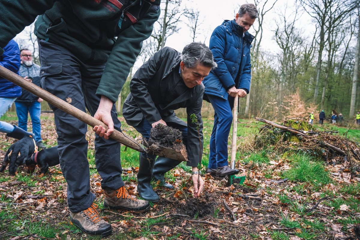 VfL Wolfsburg tweet media