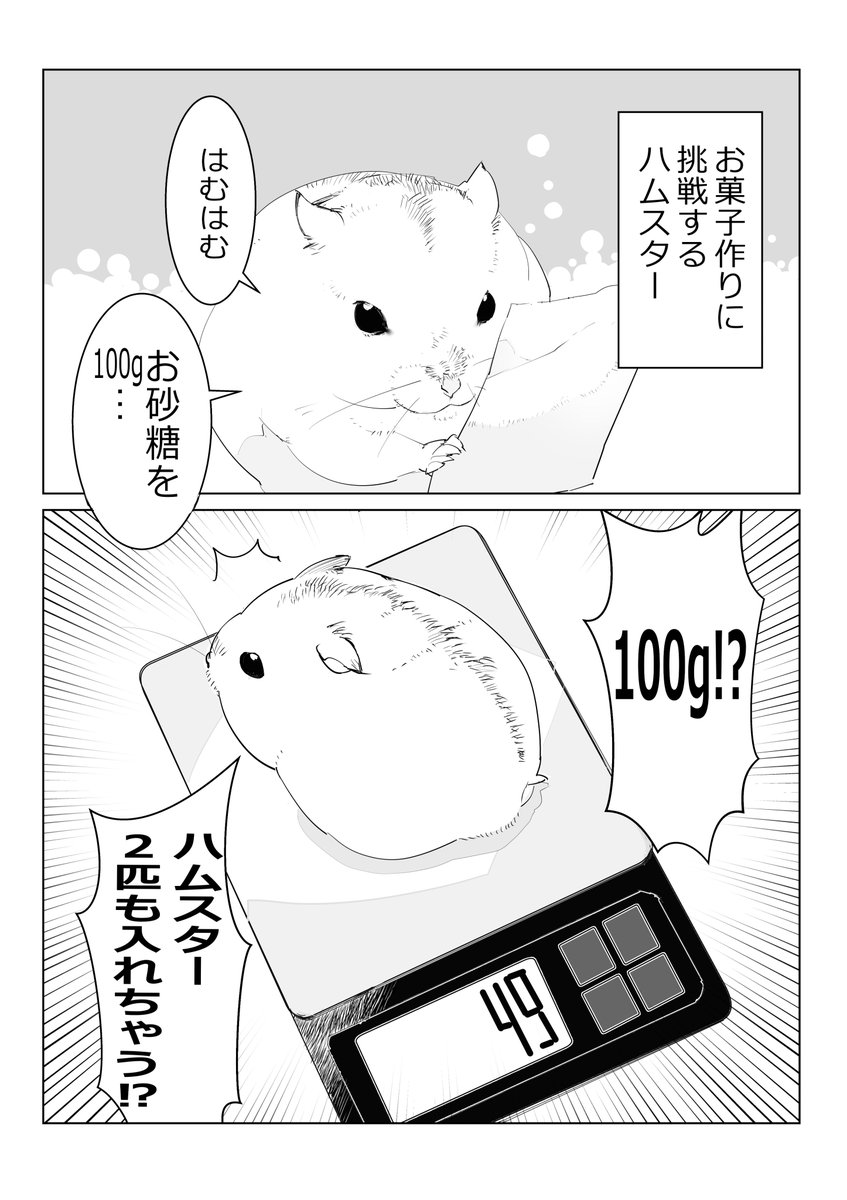 ごくまれにお菓子作りするとシンプルにビビる。
油も100g使った。多すぎんか https://t.co/PQiZPGeGR5