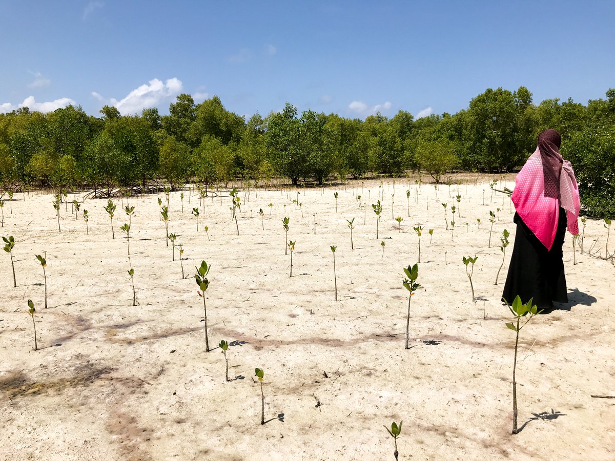 Did you know that we'll be launching our first grant call in the next few months.  

Make sure to sign up for our newsletter to be the first to hear about funding opportunities 👉👉👉 redaa.org

#RestoreNature #ForPeopleAndNature