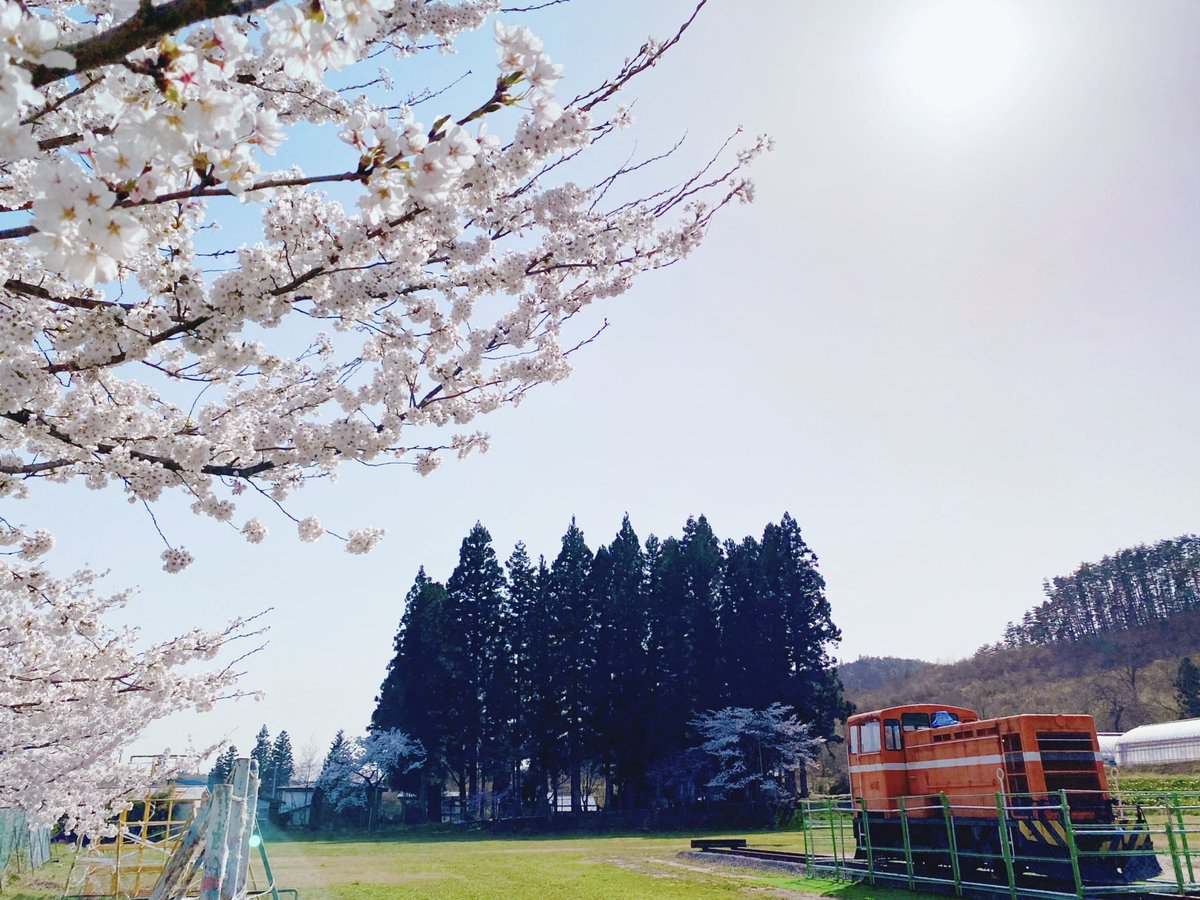 gonohe_kankou's tweet photo. #五戸町 #ごのへ郷土館 #DC351
#ディーゼル機関車 #桜 #青森 https://t.co/PyMnvoHlfn