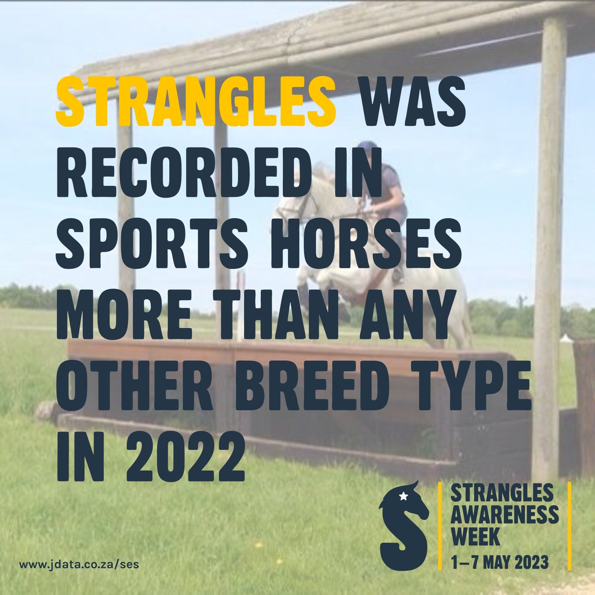 NationalEWC's tweet image. Strangles Stats!! #SAW2023 🌡️🧫🦠 

These stats were gathered by Surveillance of Equine Strangles (SES) as part of their work recording strangles cases across the UK!  More info 👉app.jshiny.com/jdata/ses/sesv… 

Take part in the #TempCheckChallenge 👉redwings.org.uk/strangles/hors…