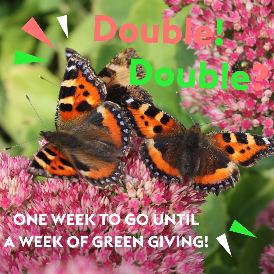 It is a beautiful sunny day and we are counting down the days until the #GreenMatchFund with @BigGive Just One WEEK to go until One WEEK of GREEN GIVING - 20-27 April. denmarkfarm.org.uk/green-match-fu…