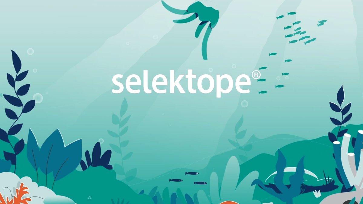 selektope's tweet photo. Our latest e-newsletter was published this morning - so, grab yourself a coffee and have a read... It's a very full edition! ☕ 👀

https://t.co/GeEGxdZEmR

#biofouling #marine #coatings #antifouling #barnacles #Selektope #biotechnology https://t.co/W5sRGcQto6