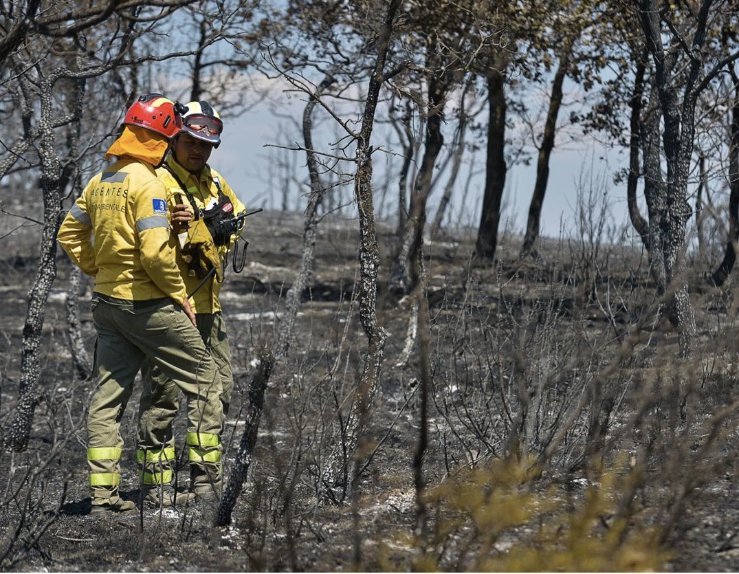 Quiero dar las gracias a todos los bomberos del incendio de Ocentejo, muchas gracias por vuestra valentía y trabajo