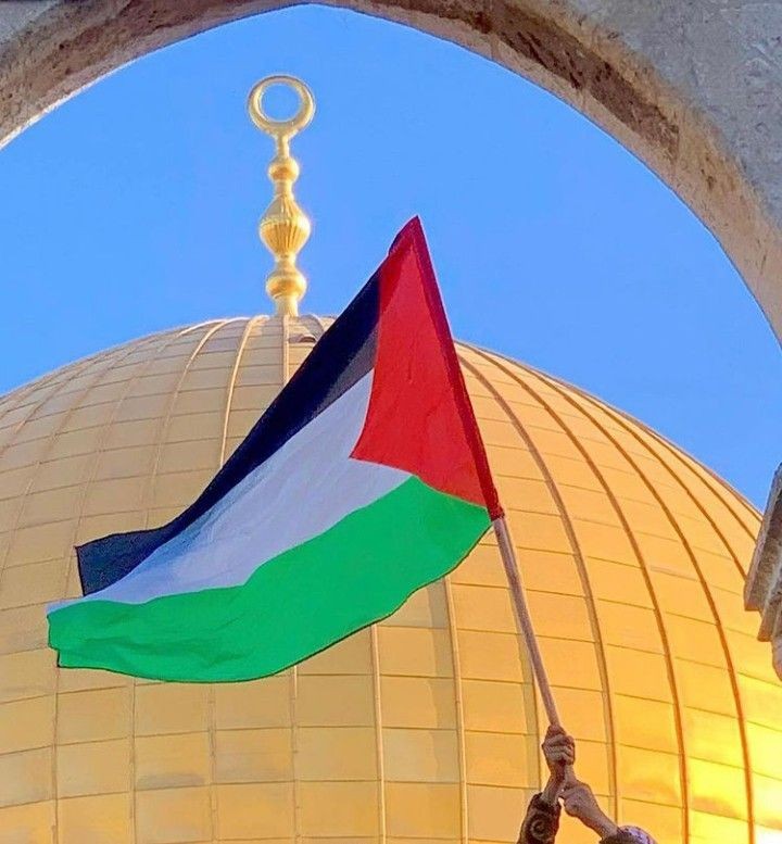 HaniyeZehra's tweet photo. I dream of a day to see a free Palestine inshallah soon🥀🤲🏻
#FreePalestine https://t.co/8Azo7pmp96