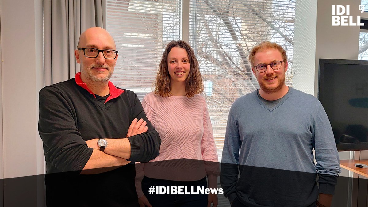 🎧🧠🎶Curiosidad o placer ¿qué se despierta antes cuando escuchamos una canción? Un grupo de @idibell_cat ha querido responder con un experimento en el auditorio de Milán, con @Sinfonica_mi y 1.000 personas del público como participantes #IDIBELLnews ➡️bit.ly/3MF5fUX