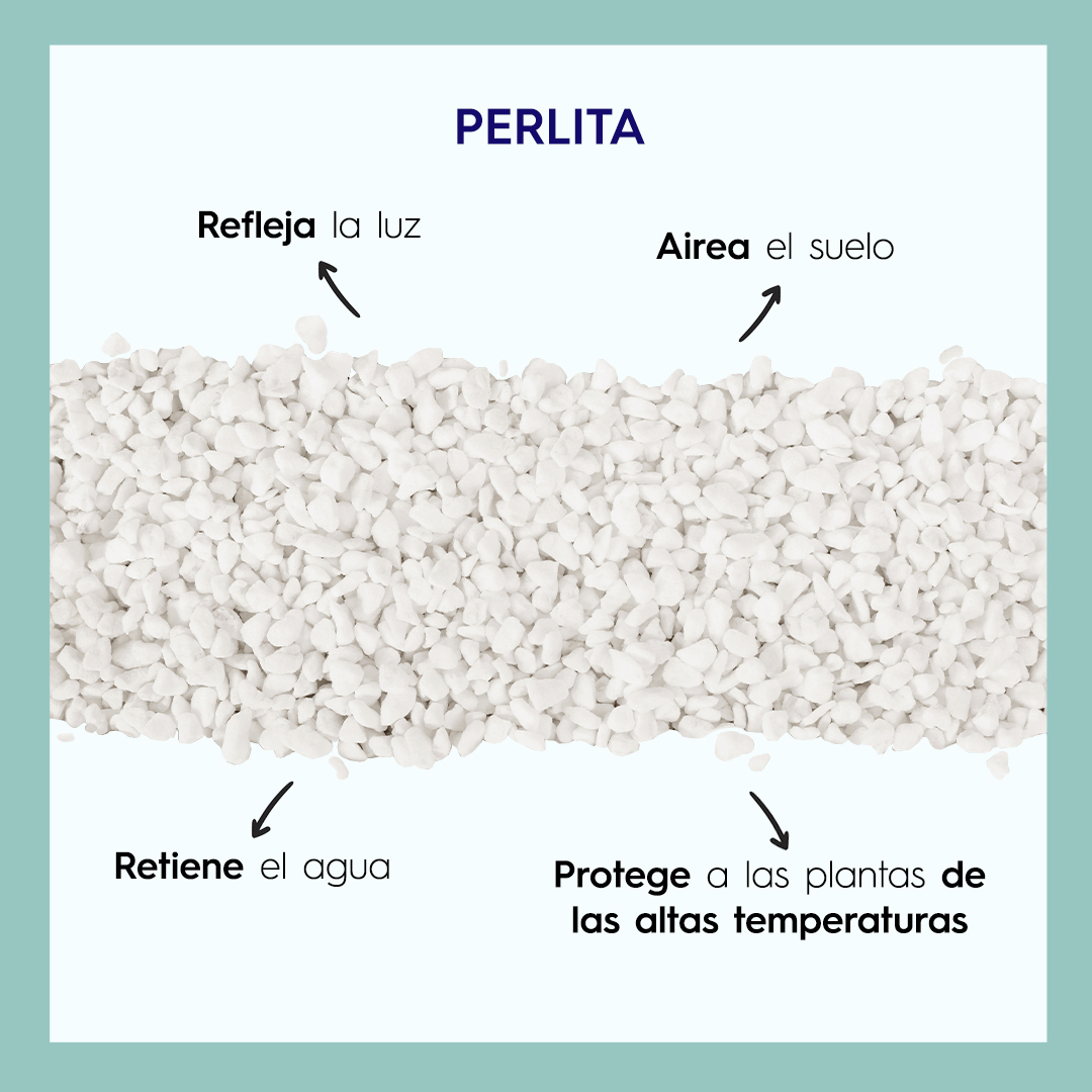 La Perlita es un mineral natural que proporciona numerosos beneficios a las plantas. 🪴

 ¿Ya la has usado en tu jardín?

 #plantawa #perlita #jardín #plantas #flores #sustrato #natural
