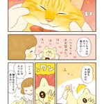 眠いときなどは柔らかいけれど、ある2つの状況のときだけは･･･!可愛すぎる猫漫画が話題に!