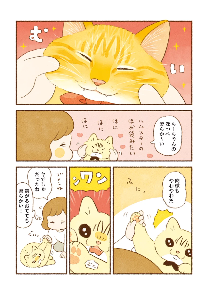 眠いときなどは柔らかいけれど、ある2つの状況のときだけは･･･！可愛すぎる猫漫画が話題に！