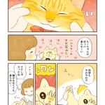 眠いときなどは柔らかいけれど、ある2つの状況のときだけは･･･!可愛すぎる猫漫画が話題に!