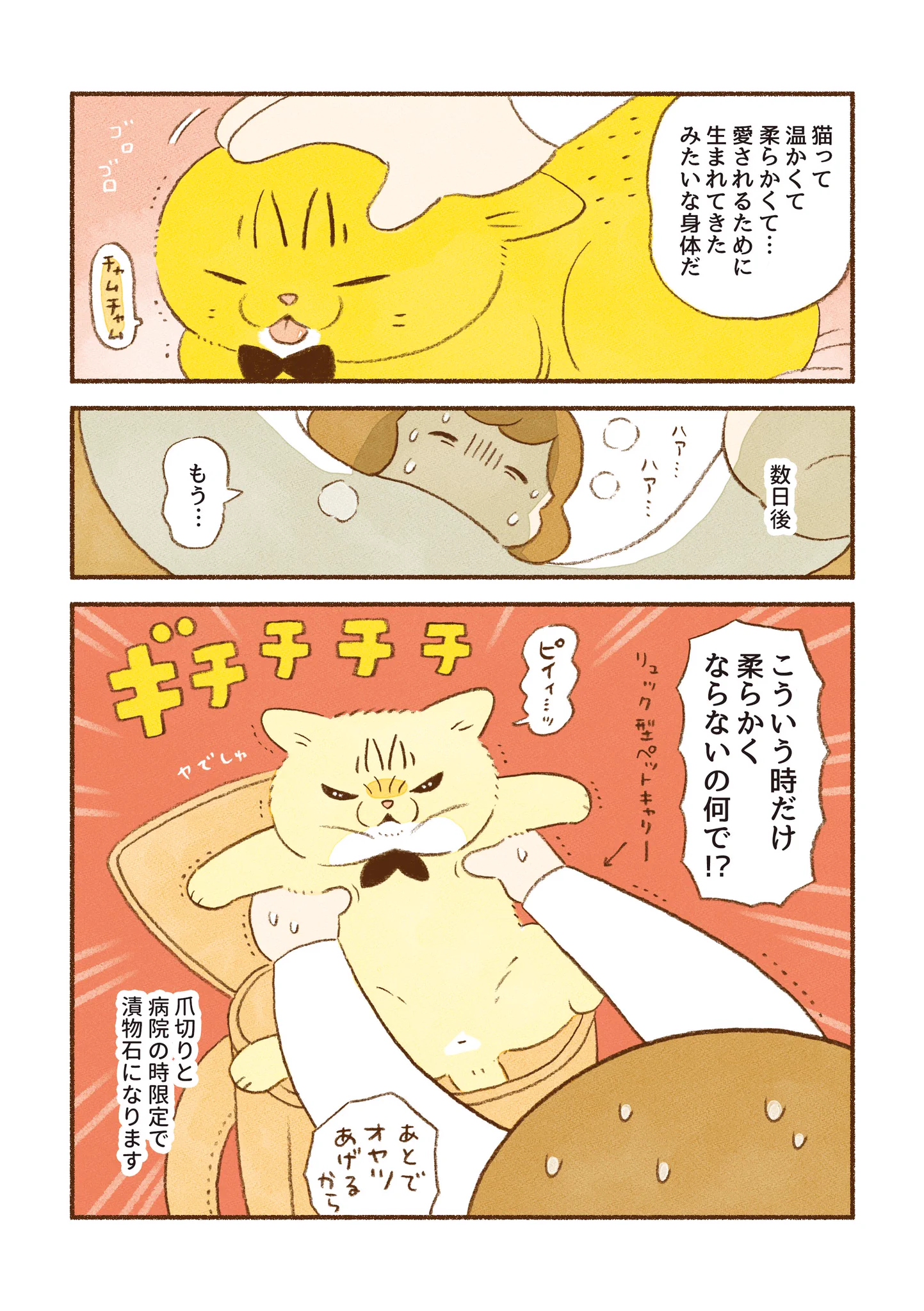 眠いときなどは柔らかいけれど、ある2つの状況のときだけは･･･！可愛すぎる猫漫画が話題に！