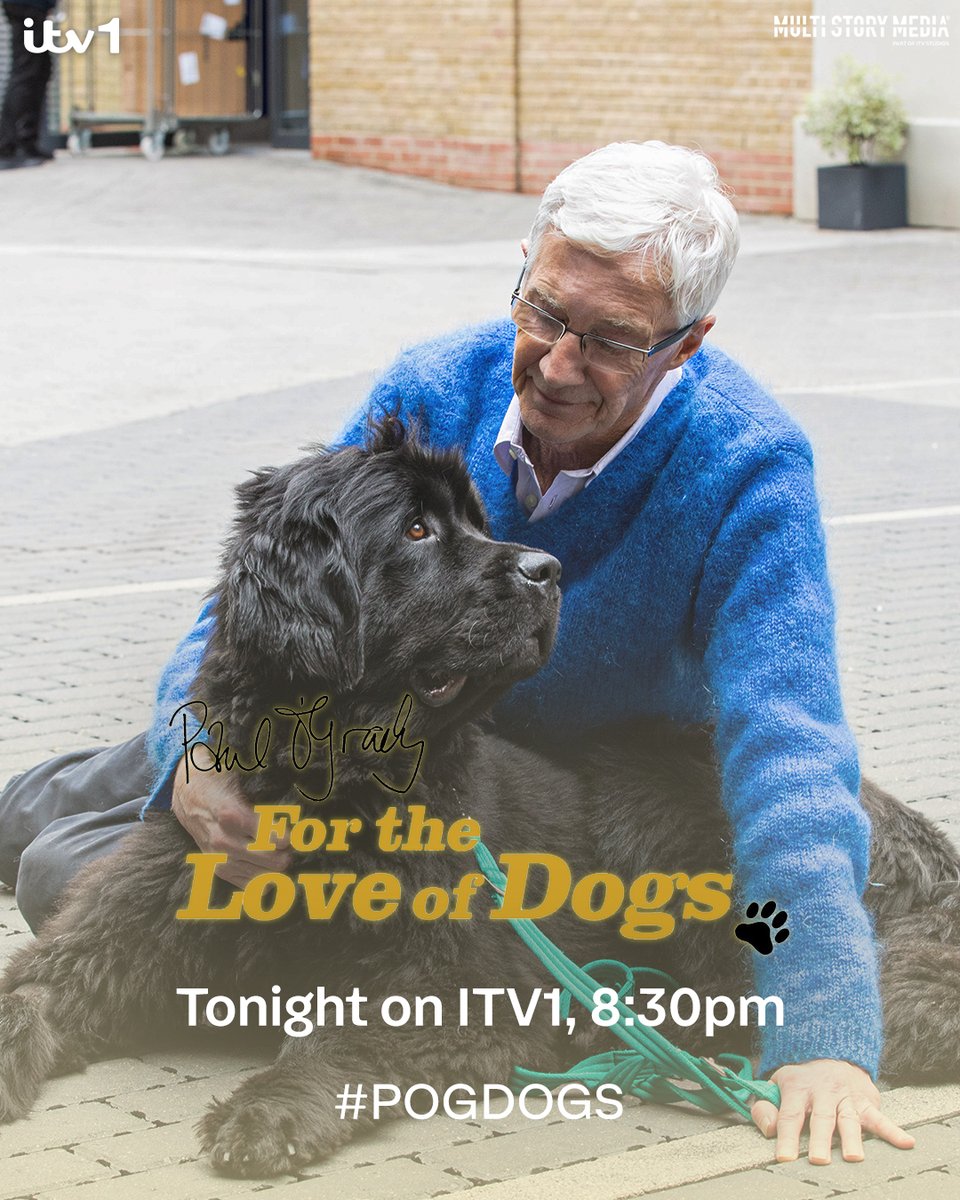 For the Love of Dogs tweet media